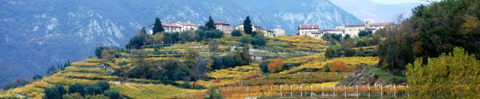 Proloco Marano di Valpolicella