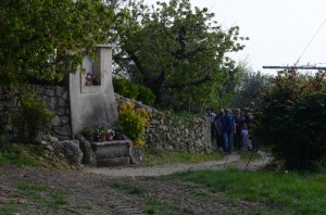 DSC_1711