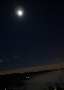 DSC_0182