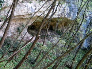 auvril0133