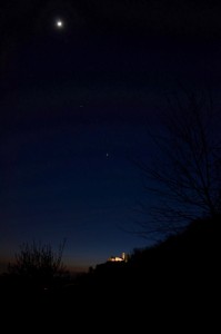 DSC_0559