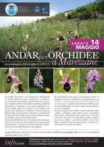 giro_orchidee_vol